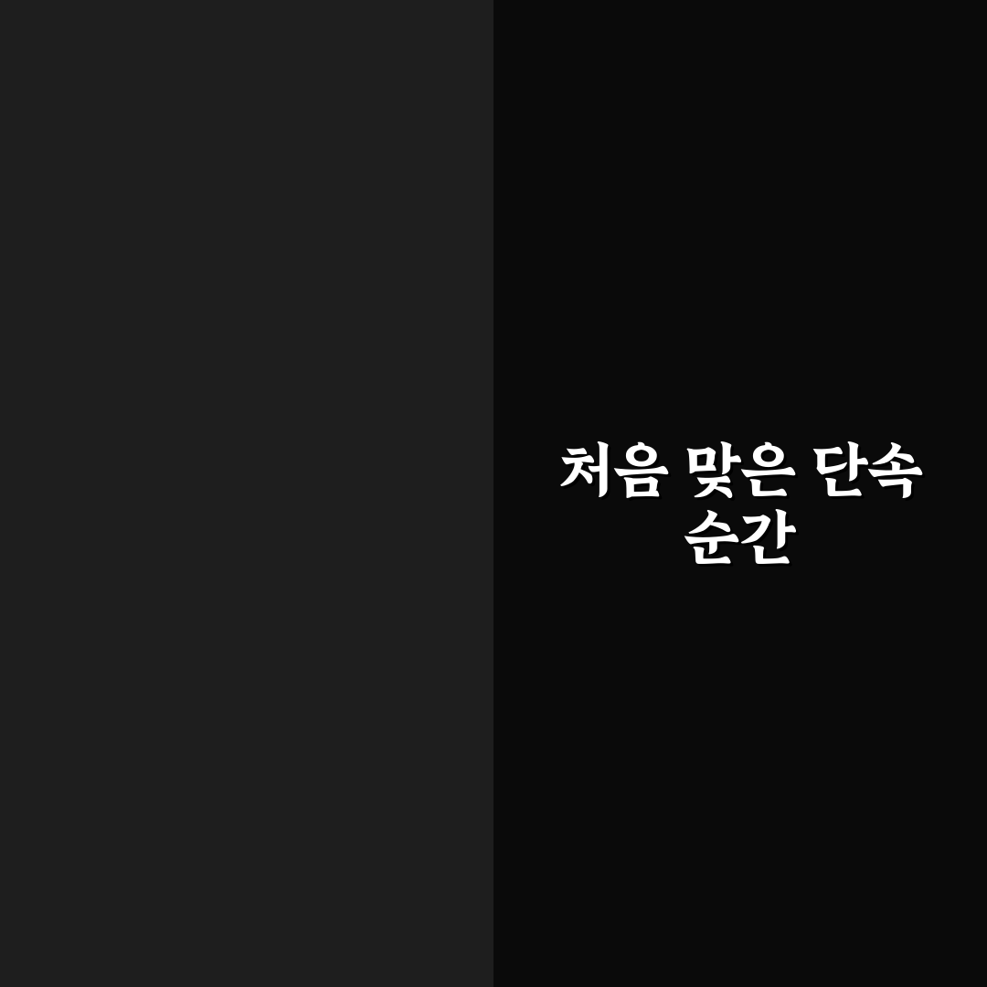 차량 2부제 단속 직접 알아보니 불편했던 점과 주의사항